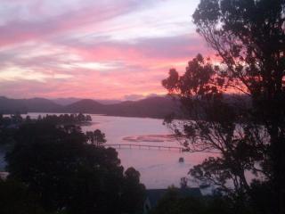 Paku Escape - Tairua Bach - Tairua - 8