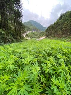 Ha Giang Safari Hostel & Tour - 2