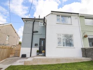 Welsh Valley House - Brynamman - 0