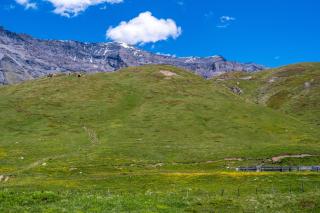 Les Roches Blanches - 1