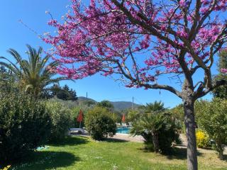 Casa Maremma “Peonia” - Castiglione della Pescaia - 2