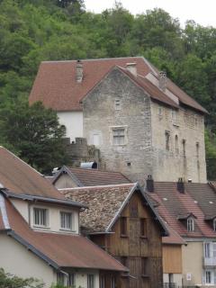 GITE LA PETITE ECLUSE EN BORD DE LOUE - 5