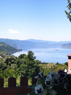 Apartmani Kuljanin - Donji Milanovac - 1