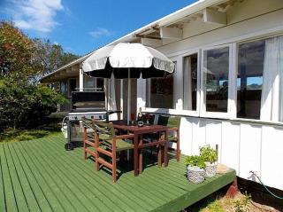 Hibiscus Cottage - Whangamata Bach - 9