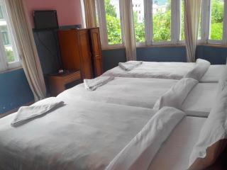 Hotel Fishtail Villa - Pokhara - 9