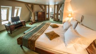 Hotel Starka - Oppeln - 7