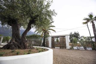 Casa Coline 'the Villa' - Jávea - 7