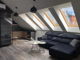 Liepų apartamentai - 1