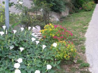 Apartments Silmare - Rabac - 9