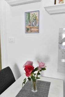 Studio Apartments Kamicak - 4