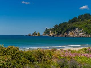 Sandy Doorstep - Whangamata Beachfront Apartment - 9