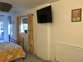 Daffodil House , West Wales - Llandovery - 2