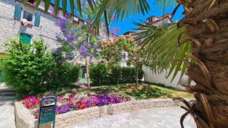 Nirvana rooms Split - 3