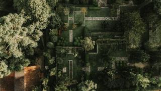 Roots Resort - Monte Verde - 6