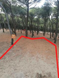 Agricampeggio La Pineta - Lesina - 2