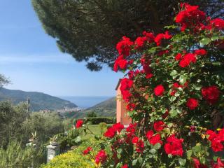 La Vignana - 5 Terre - Levanto - 8