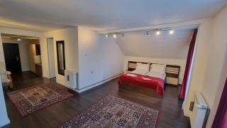 Vila Parc - Cluj-Napoca - 8