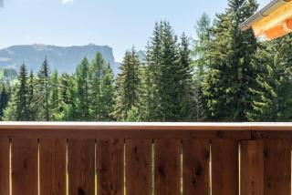 Ferienparadies Sabina Föhre - Alpe di Siusi - 8