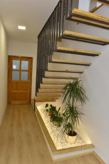 Milosavljevic Apartments - Tivat - 9