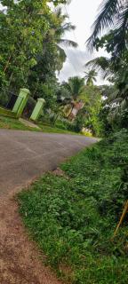 Sunset Villa - Negombo - 4