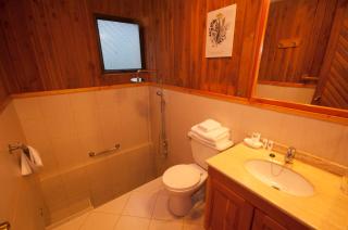 Hotel y Termas Huife - Termas De Huife - 9