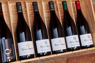 Les Glycines - Domaine Gilles Coperet - Régnié - 0