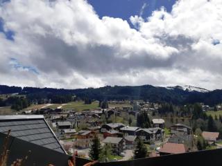 Appartement lumineux avec terrasse, parking et WiFi aux Gets - FR-1-598-51 - Les Gets - 3