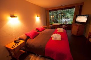 Hotel y Termas Huife - Termas De Huife - 7