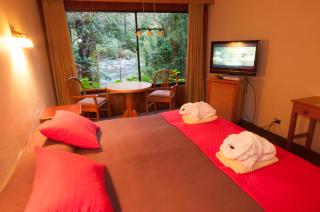 Hotel y Termas Huife - Termas De Huife - 6