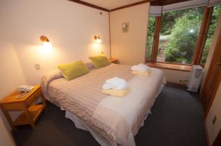 Hotel y Termas Huife - Termas De Huife - 4