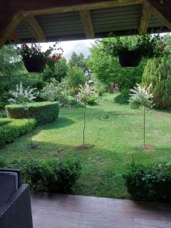 Nature Escape - 6