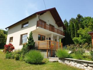 Country house Garden - Rakovica - 0