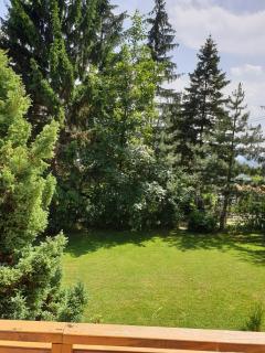 Country house Garden - Rakovica - 7