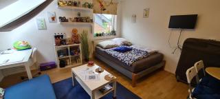 Business-Travel-Apartment & Ferienwohnung Münster, kontaktloser Check-In von 15 bis 24 Uhr möglich, mit SB-Kiosk - Münster - 5