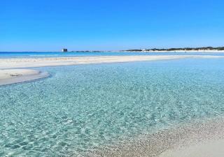 Villa Arneide bed and breakfast - Torre Lapillo - 7
