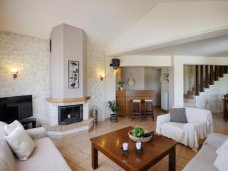 Villa Metapothia Gavalochori Crete - Gavalochori - 3
