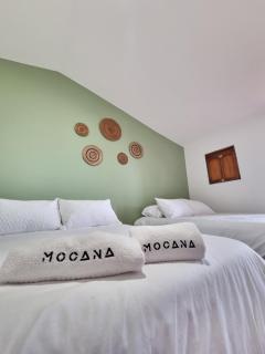 MOCANA BIOHOTEL - Circasia - 0