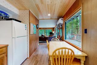 Cabin in the Pines - 1