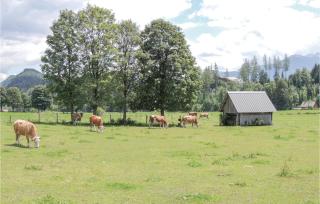 Ferienwohnung Mit Badeteich - Ramsau am Dachstein - 2