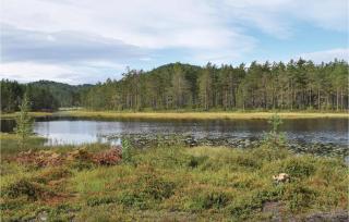 Lovely Home In Vegårshei With Sauna - 2