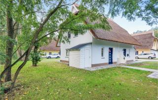 Reetdachhaus Waldidylle - Kutzow - 5