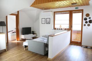 Lusht'n apartma - Žirovnica - 6