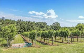 Ferienhaus Kohfidisch - 6