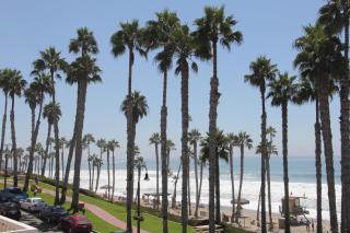 Sea Horse Resort - 2