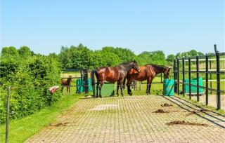 1 Bedroom Cozy Home In Udenhout - Udenhout - 5