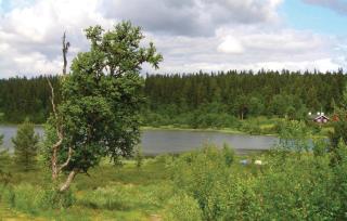 Holiday Home Ringebu Måsåplassen Iii - 8