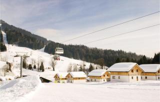 Charmantes Großes Ferienhaus - Altaussee - 6