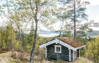 Savalen Hestesenter - Trøan - 3