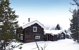 Savalen Hestesenter - Trøan - 6