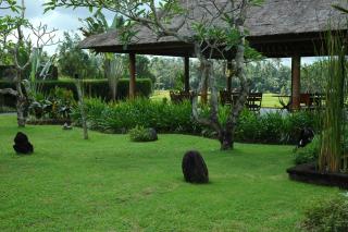 Bumi Ubud Resort - Ubud - 6